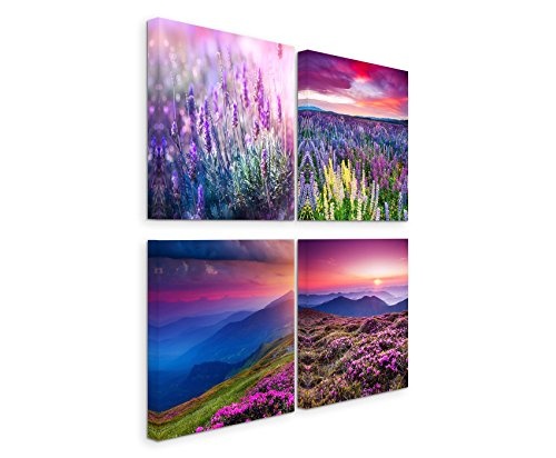 Paul Sinus Art 4 Teiliges Leinwandbild je 40x40cm - Lavendel Blumenwiese Sommer