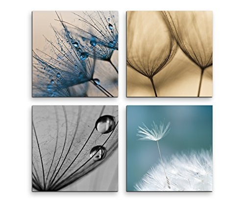 Paul Sinus Art 4 Teiliges Leinwandbild je 40x40cm - Blume Wassertropfen Natur