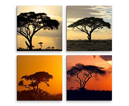 Paul Sinus Art 4 Teiliges Leinwandbild je 40x40cm - Akazienbaum Afrika Sonnenuntergang Wüste