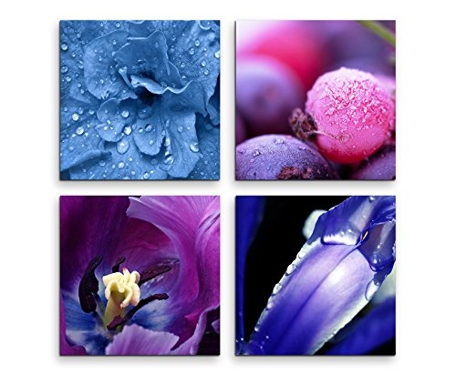 Paul Sinus Art 4 Teiliges Leinwandbild je 40x40cm - Blumen Makroaufnahme Wassertropfen Blau