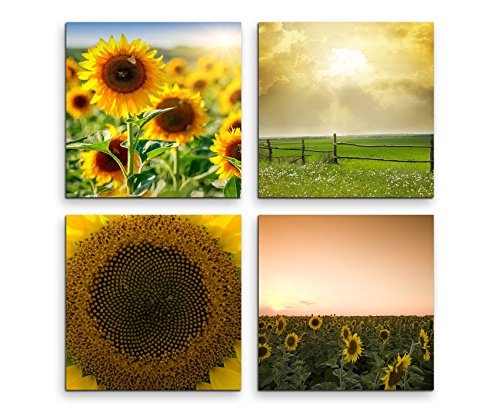 Paul Sinus Art 4 Teiliges Leinwandbild je 40x40cm - Sonnenblumen Sommer Feld Wiese