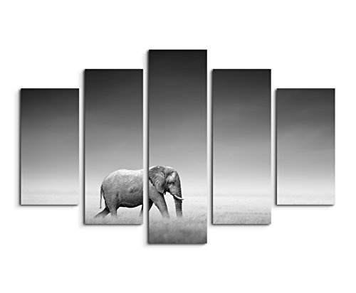 Bilderskulptur 5 teilig Breite 150cm x Höhe 100cm Tierfotografie - Elefant und Zebra auf Leinwand exklusives Wandbild moderne Fotografie für ihre Wand in vielen Größen