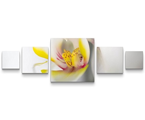 Paul Sinus Art Weiße Orchidee im DetailLeinwandbild 5 teilig (160x50cm)