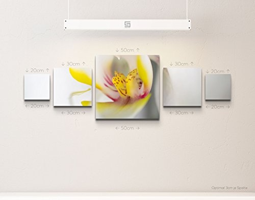 Paul Sinus Art Weiße Orchidee im DetailLeinwandbild...