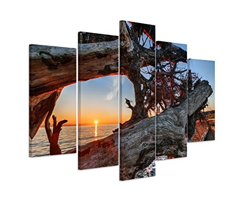 Bilderskulptur 5 teilig Breite 150cm x Höhe 100cm Naturfotografie - Treibholz am Strand bei Sonnenaufgang auf Leinwand exklusives Wandbild moderne Fotografie für ihre Wand in vielen Größen