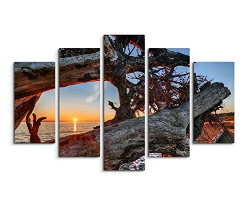 Bilderskulptur 5 teilig Breite 150cm x Höhe 100cm Naturfotografie - Treibholz am Strand bei Sonnenaufgang auf Leinwand exklusives Wandbild moderne Fotografie für ihre Wand in vielen Größen