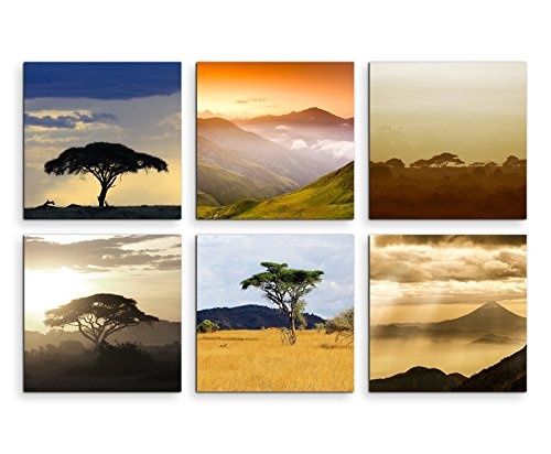 Paul Sinus Art 6 Teiliges Leinwandbild je 40x40cm - Akazienbaum Afrika Wüste Sonnenuntergang