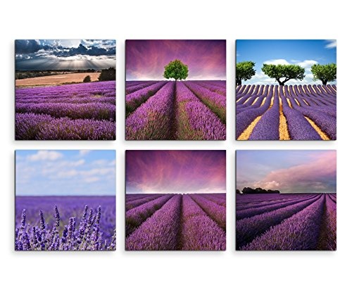 Paul Sinus Art 6 Teiliges Leinwandbild je 40x40cm - Lavendelfeld Blumen Violett