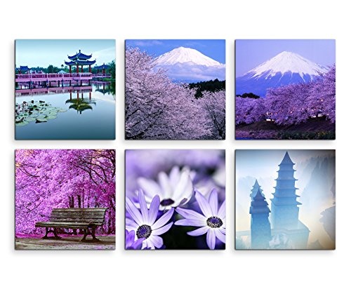Paul Sinus Art 6 Teiliges Leinwandbild je 40x40cm - Lavendel Blumen Makroaufnahme Fuij Japan