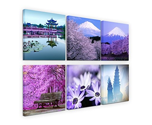 Paul Sinus Art 6 Teiliges Leinwandbild je 40x40cm - Lavendel Blumen Makroaufnahme Fuij Japan