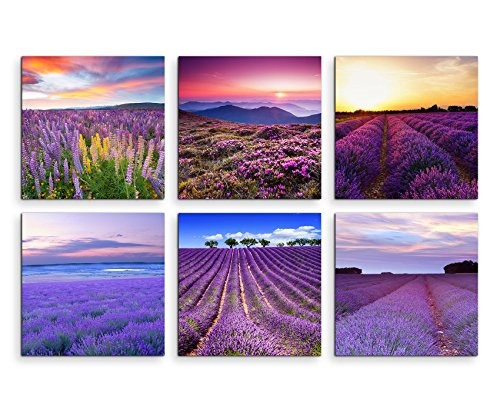 Paul Sinus Art 6 Teiliges Leinwandbild je 40x40cm - Lavendelfeld Sommer Blumen Sonnenuntergang