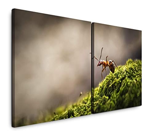 Paul Sinus Art GmbH Wald mit Ameise 120x60cm - 2 Wandbilder je 60x60cm Kunstdruck modern Wandbilder XXL Wanddekoration Design Wand Bild