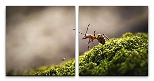 Paul Sinus Art GmbH Wald mit Ameise 120x60cm - 2 Wandbilder je 60x60cm Kunstdruck modern Wandbilder XXL Wanddekoration Design Wand Bild