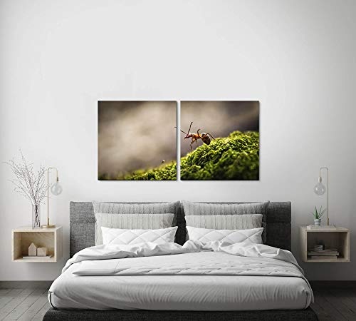 Paul Sinus Art GmbH Wald mit Ameise 120x60cm - 2 Wandbilder je 60x60cm Kunstdruck modern Wandbilder XXL Wanddekoration Design Wand Bild