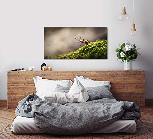 Wald mit Ameise ca. 130x70cm Wandbild inklusive Schattenfugenrahmen naturfarbend - Panorama Leinwand Bild XXL Format Wandbilder Wohnzimmer Wohnung Deko Kunstdrucke