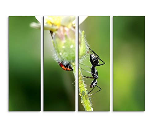 Fotoleinwand 4Teile je 90x30cm Tierfotografie - Schwarzer Käfer und Ameise auf einer Blume