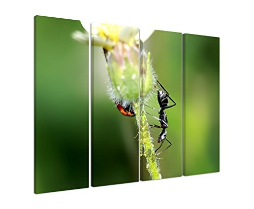 Fotoleinwand 4Teile je 90x30cm Tierfotografie - Schwarzer Käfer und Ameise auf einer Blume