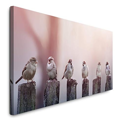 Paul Sinus Art GmbH Vögel auf Holzstämmen 120x 50cm Panorama Leinwand Bild XXL Format Wandbilder Wohnzimmer Wohnung Deko Kunstdrucke