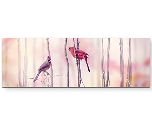 Paul Sinus Art Leinwandbilder | Bilder Leinwand 120x40cm Rotkardinal im Baum