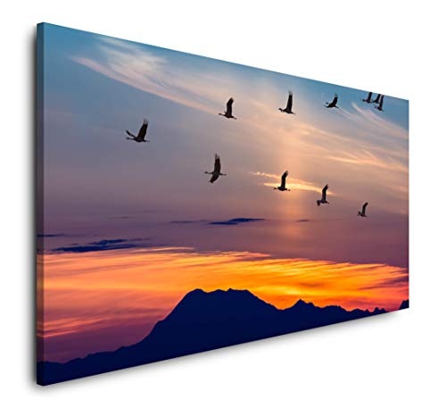 Paul Sinus Art Vögel in Landschaft 120x 60cm Panorama Leinwand Bild XXL Format Wandbilder Wohnzimmer Wohnung Deko Kunstdrucke