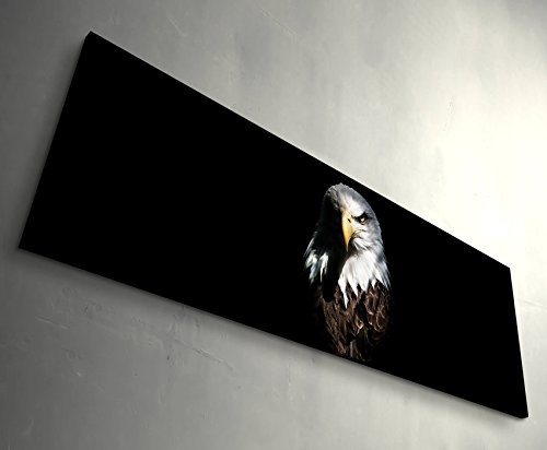 Paul Sinus Art Leinwandbilder | Bilder Leinwand 120x40cm Adler