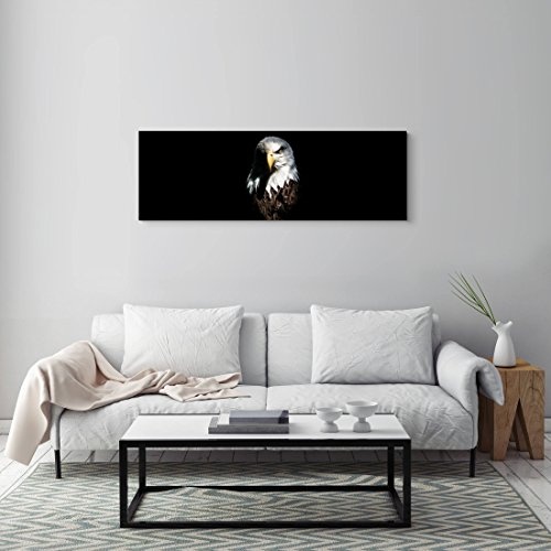 Paul Sinus Art Leinwandbilder | Bilder Leinwand 120x40cm Adler