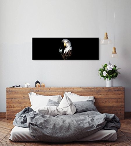 Paul Sinus Art Leinwandbilder | Bilder Leinwand 120x40cm Adler