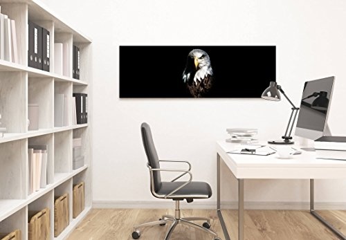 Paul Sinus Art Leinwandbilder | Bilder Leinwand 120x40cm Adler