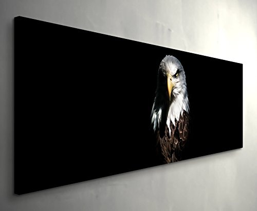 Paul Sinus Art Leinwandbilder | Bilder Leinwand 120x40cm Adler