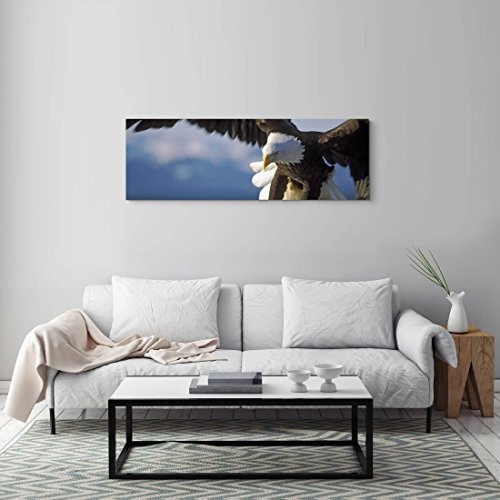 Paul Sinus Art Leinwandbilder | Bilder Leinwand 150x50cm Seeadler