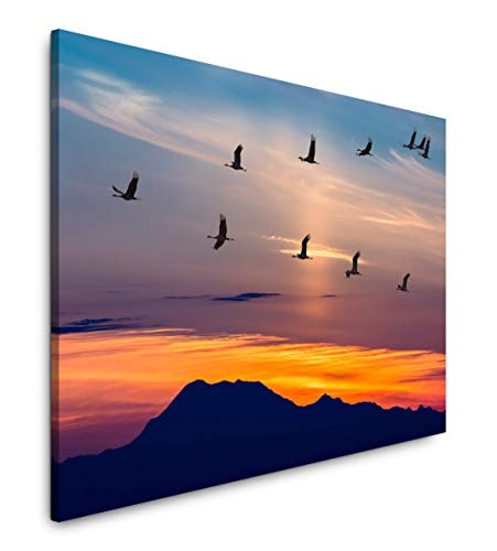 Paul Sinus Art Vögel in Landschaft 100 x 70 cm Inspirierende Fotokunst in Museums-Qualität für Ihr Zuhause als Wandbild auf Leinwand in
