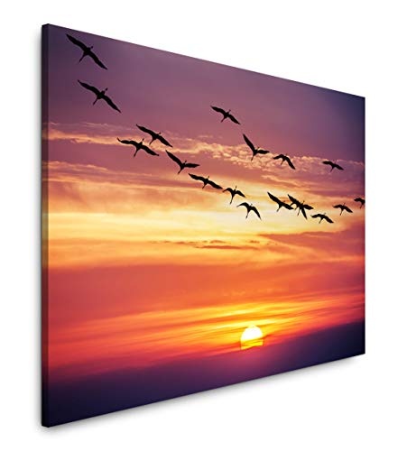 Paul Sinus Art Vögel im Sonnenuntergang 100 x 70 cm...