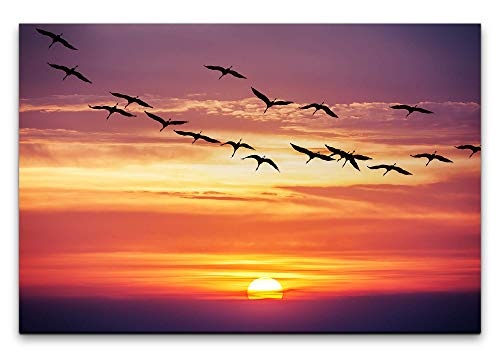 Paul Sinus Art Vögel im Sonnenuntergang 100 x 70 cm Inspirierende Fotokunst in Museums-Qualität für Ihr Zuhause als Wandbild auf Leinwand in