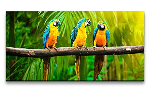 Paul Sinus Art Papageien auf Einem AST 120x 60cm Panorama Leinwand Bild XXL Format Wandbilder Wohnzimmer Wohnung Deko Kunstdrucke