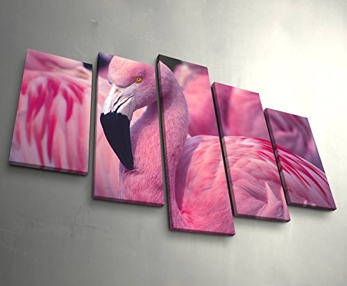 Paul Sinus Art Leinwandbilder | Bilder Leinwand 160x100cm Pinker Flamingo
