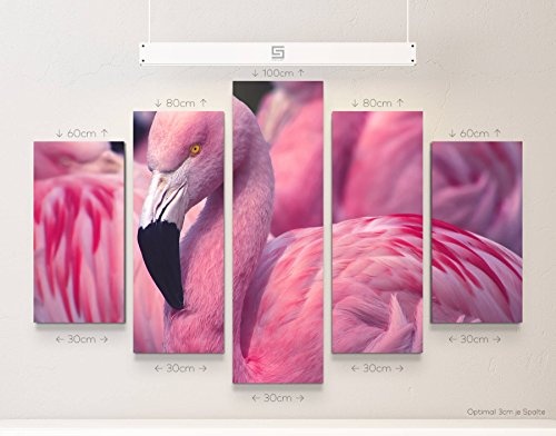 Paul Sinus Art Leinwandbilder | Bilder Leinwand 160x100cm Pinker Flamingo