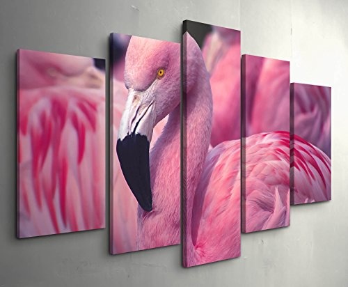 Paul Sinus Art Leinwandbilder | Bilder Leinwand 160x100cm Pinker Flamingo