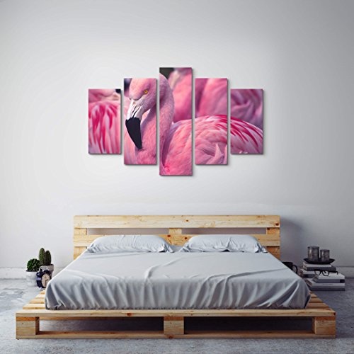 Paul Sinus Art Leinwandbilder | Bilder Leinwand 160x100cm Pinker Flamingo