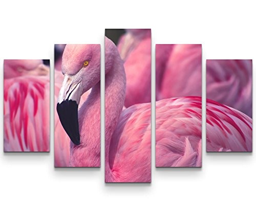 Paul Sinus Art Leinwandbilder | Bilder Leinwand 160x100cm Pinker Flamingo