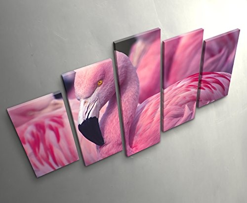 Paul Sinus Art Leinwandbilder | Bilder Leinwand 160x100cm Pinker Flamingo