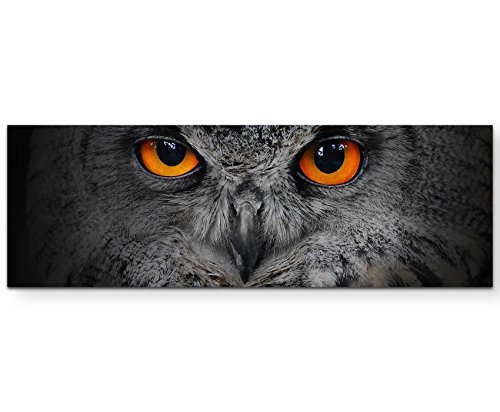Paul Sinus Art Leinwandbilder | Bilder Leinwand 150x50cm UHU mit orangenen Augen - Nahaufnahme