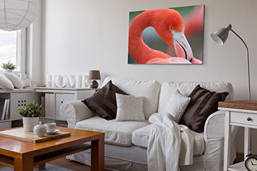 Paul Sinus Art Leinwandbilder | Bilder Leinwand 120x80cm Flamingo - Nahaufnahme
