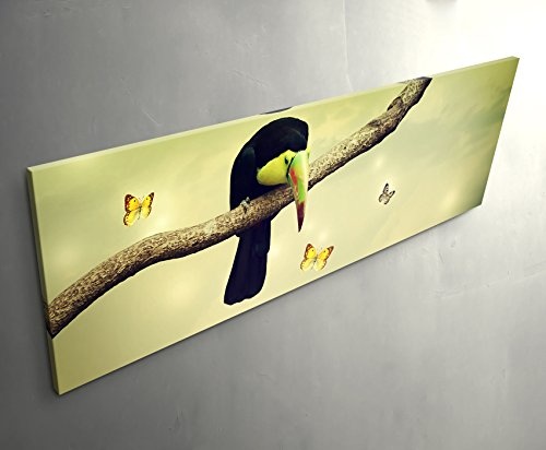 Paul Sinus Art Leinwandbilder | Bilder Leinwand 120x40cm Tukan mit Gelben Schmetterlingen