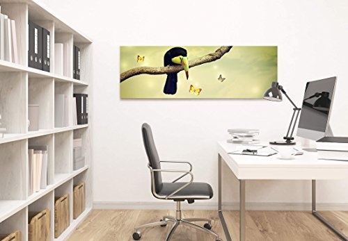 Paul Sinus Art Leinwandbilder | Bilder Leinwand 120x40cm Tukan mit Gelben Schmetterlingen