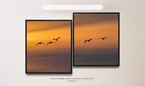 Paul Sinus Art Vögel im Himmel 130 x 90 cm (2 Bilder ca. 75x65cm) Leinwandbilder fertig im Schattenfugenrahmen SCHWARZ Kunstdruck XXL modern