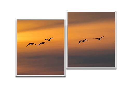 Paul Sinus Art Vögel im Himmel 130 x 90 cm (2 Bilder ca. 75x65cm) Leinwandbilder fertig im Schattenfugenrahmen Weiss Kunstdruck XXL modern