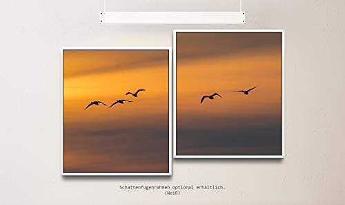 Paul Sinus Art Vögel im Himmel 130 x 90 cm (2 Bilder ca. 75x65cm) Leinwandbilder fertig im Schattenfugenrahmen Weiss Kunstdruck XXL modern