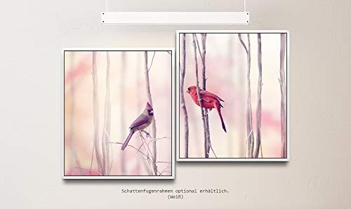 Paul Sinus Art Vögel auf Ästen 130 x 90 cm (2 Bilder ca. 75x65cm) Leinwandbilder fertig im Schattenfugenrahmen Weiss Kunstdruck XXL modern