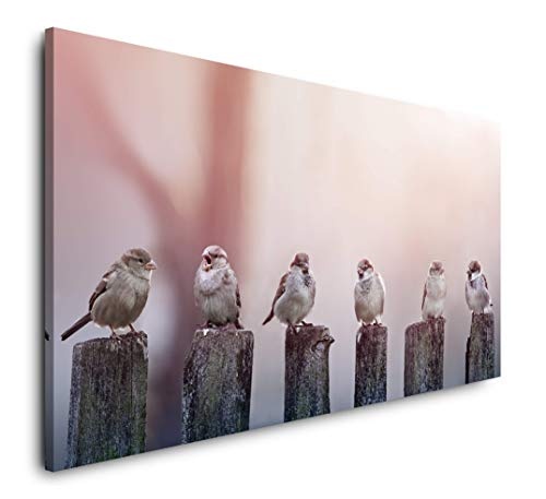 Paul Sinus Art Vögel auf Holzstämmen 120x 60cm Panorama Leinwand Bild XXL Format Wandbilder Wohnzimmer Wohnung Deko Kunstdrucke