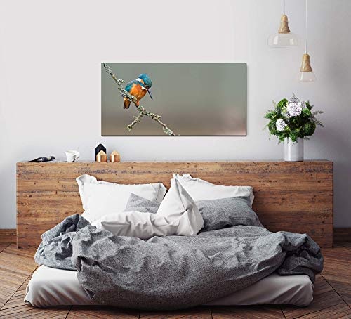 Paul Sinus Art Vogel 120x 60cm Panorama Leinwand Bild XXL Format Wandbilder Wohnzimmer Wohnung Deko Kunstdrucke